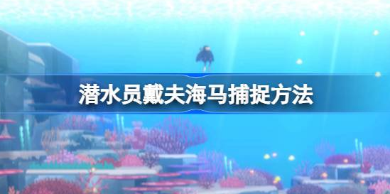 潜水员戴夫海马怎么捉-潜水员戴夫海马位置捕捉工具介绍