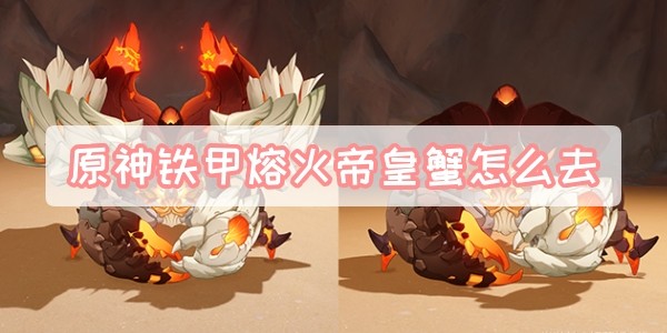 原神铁甲熔火帝皇蟹在哪-原神铁甲熔火帝皇蟹位置介绍
