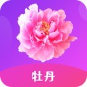 夜月直播安装包在线下载