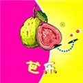 萝莉社apk下载地址