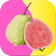 鲸鱼传媒app安卓版